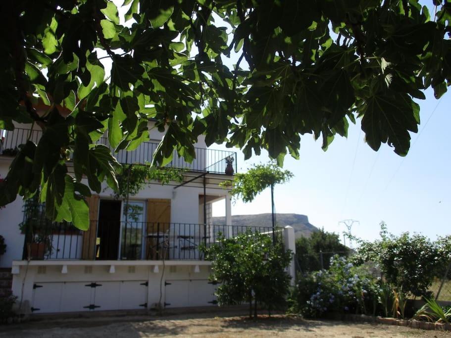 Casa La Higuera Villa Chulilla Exterior photo