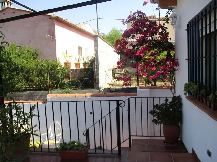 Casa La Higuera Villa Chulilla Exterior photo