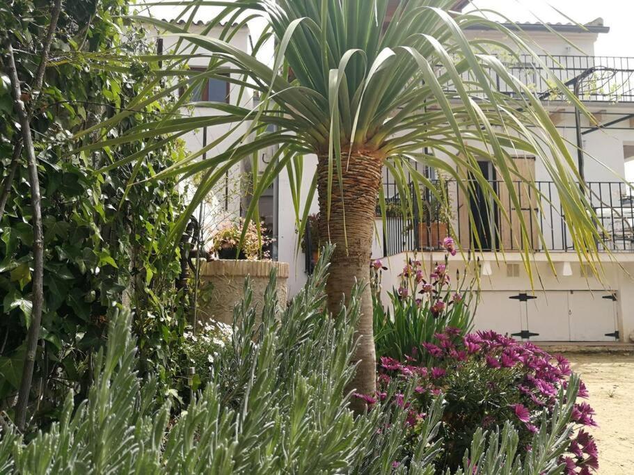 Casa La Higuera Villa Chulilla Exterior photo